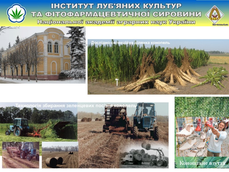 Конопляне взуття